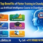 Flutter training in Chandigarh